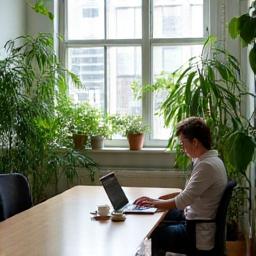 Sustainable consulting office practice